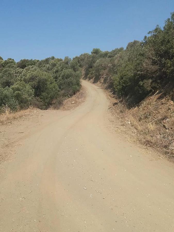 Olive Bay Hilltop Apartments Ammouliani Dış mekan fotoğraf
